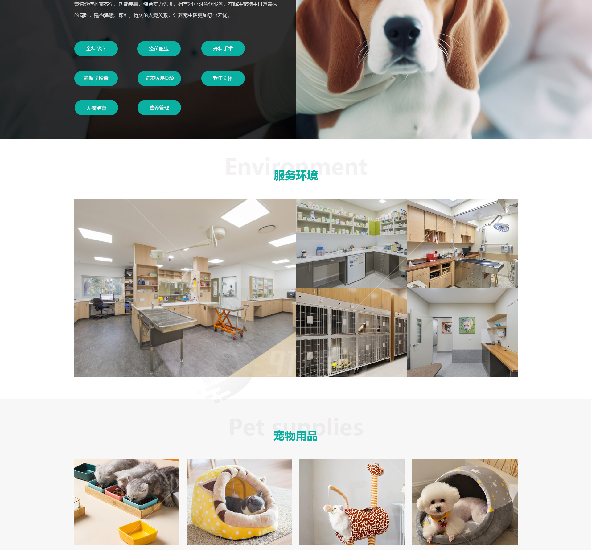 宠物医院网站制作